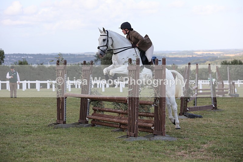 JPP_3608 - Class 24: Open Working Hunter