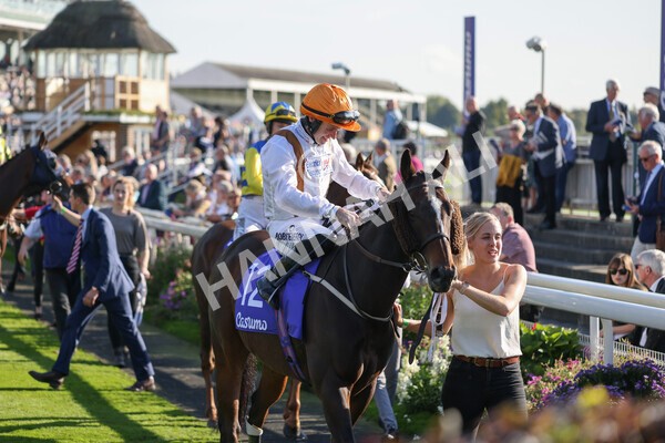 yr08102021r3-4 - Race 3 3.15pm Download The Casumo App Today Handicap