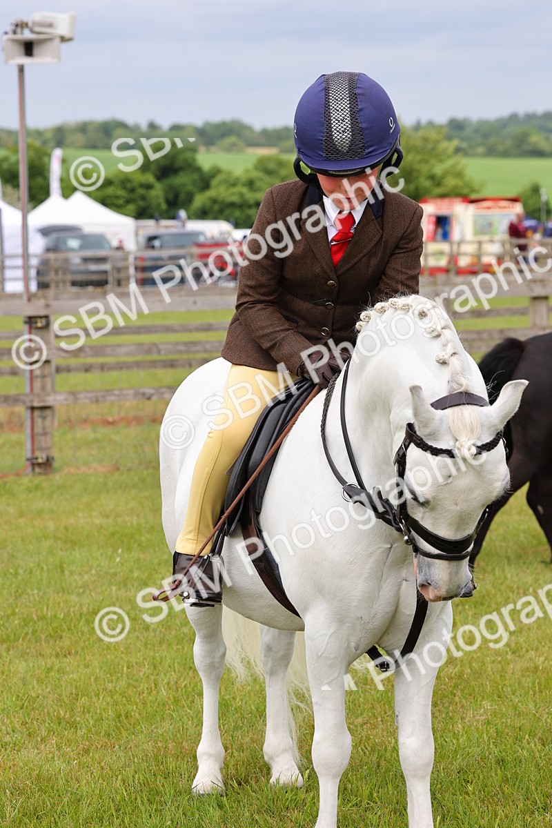 SBM_09639 - Class 44-45 - LIHS BSPS Open Nursery and Cradle Stakes
