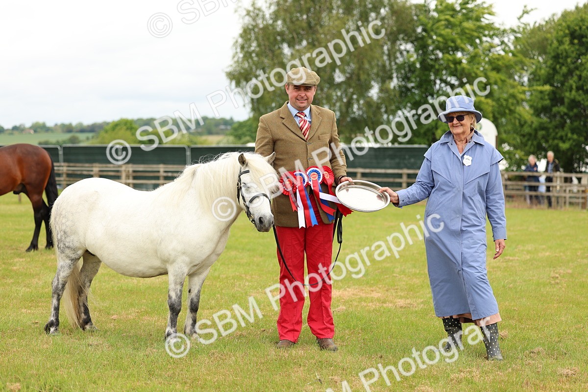 SBM_03593 - Class 58-67 - M&M Non Welsh Pony In hand