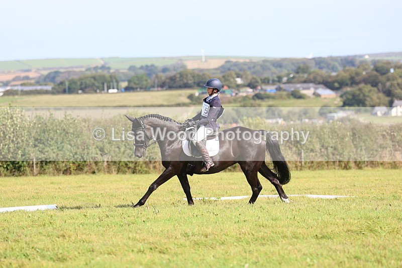 3E7A6373 - Class 2A: Trekenning Open: Dressage