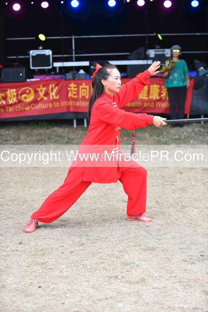 SH4_1537 - Tai Chi with Lisa Kay.