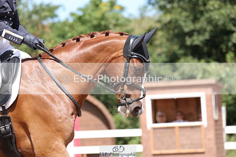 240816A-130132-04473 - 294-Lisa.Hoskins-Flamgoch