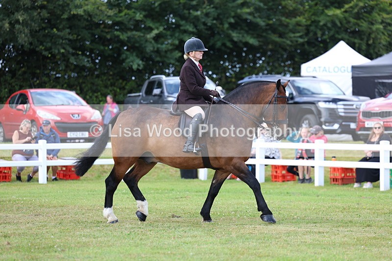 3E7A9673 - Class 5: Rising Star Lightweight/Heavyweight Cobs