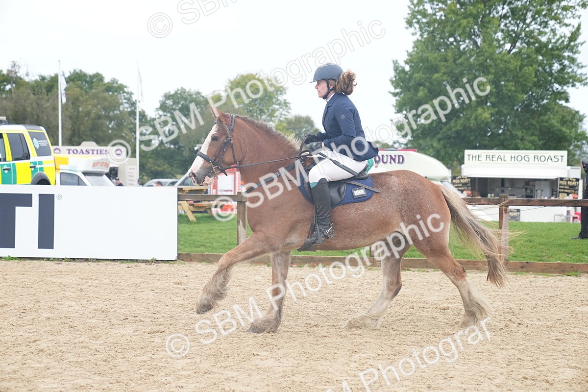 SBM_01848 - J54 - Clear Round 50cm