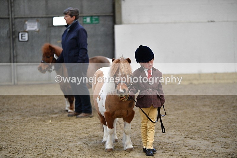 WJ5_5103 - Class 7 In hand coloured / odd coloured