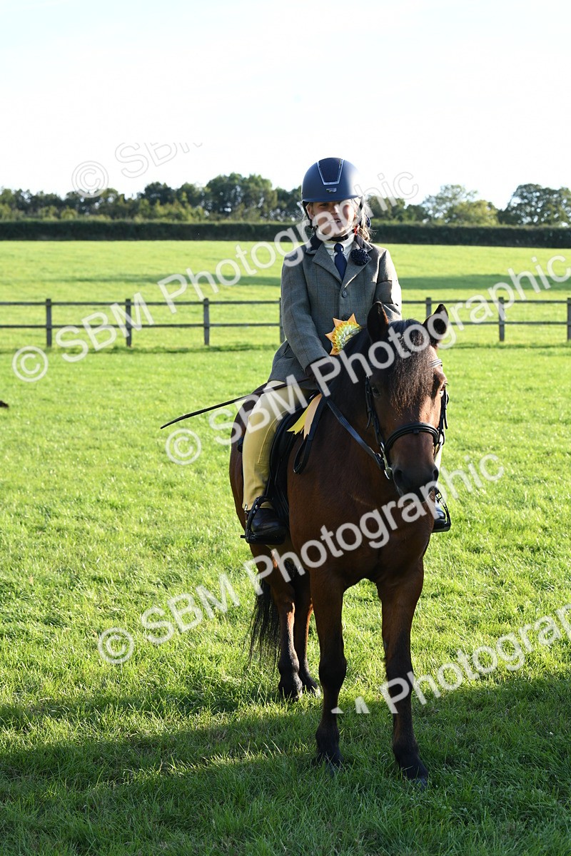 SBM_54170 - S23 - 1st Ridden Mountain & Moorland Pony