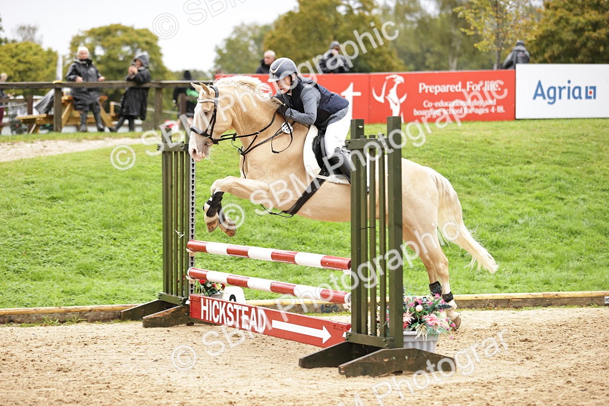 SBM_35770 - J38 - Senior Horse & Pony 80cm Championship