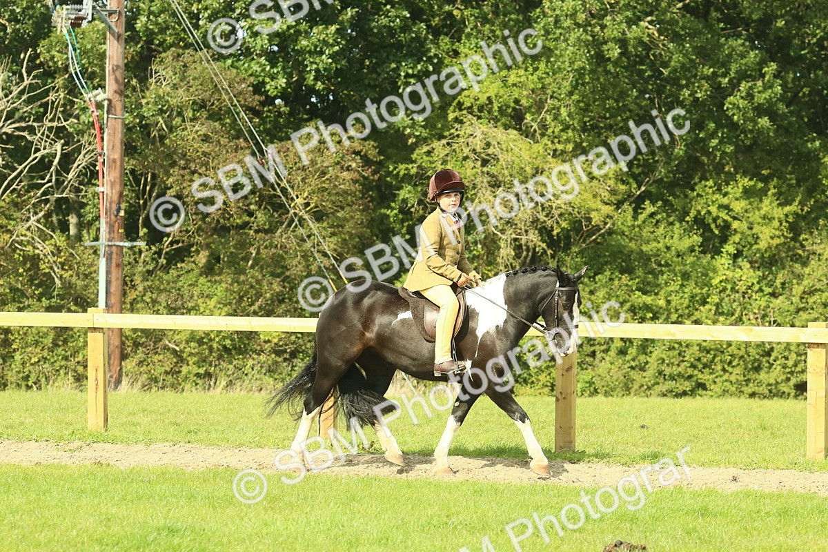 SBM_67406 - S56 - Coloured Pony Ridden