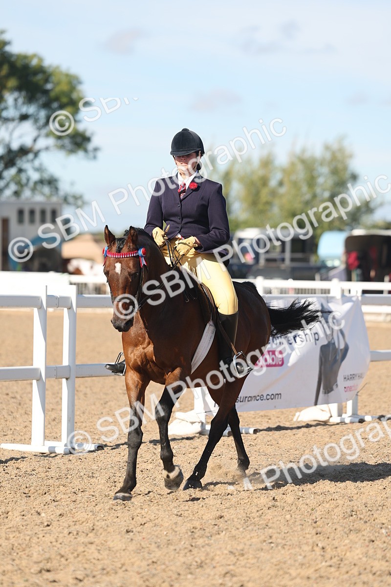 SBM_12340 - Class 304 - Ridden part Bred Horse Pony