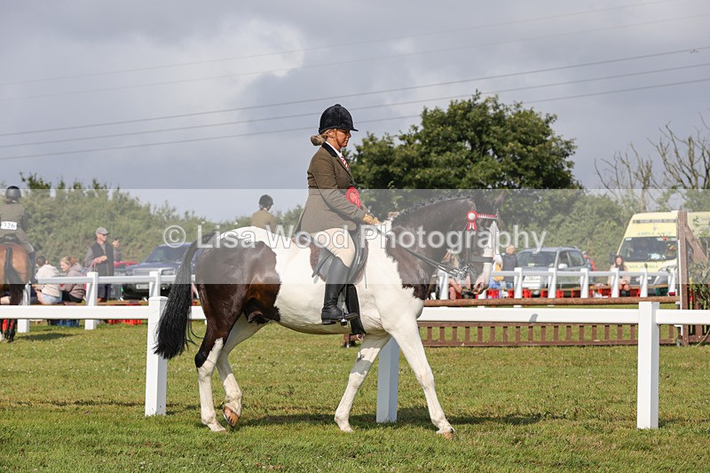 1X9A3443 - Skewbald and Piebald Ridden Championship