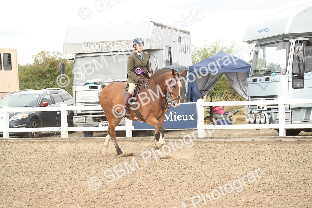 SBM_16725 - Class 507a - Working Veteran - 60cm (15-19)