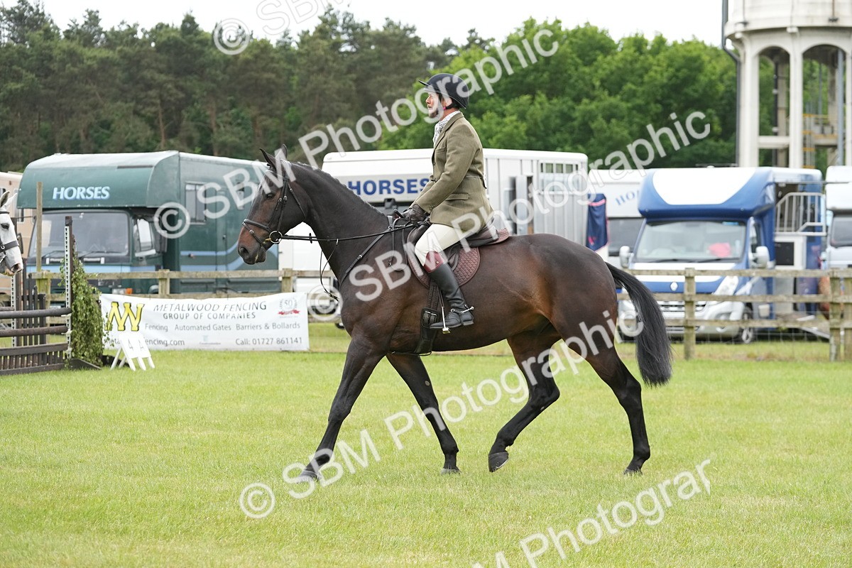 SBM_12533 - Class 97-98 - LIHS BSHA Rising Star Working Show Horse Hunter