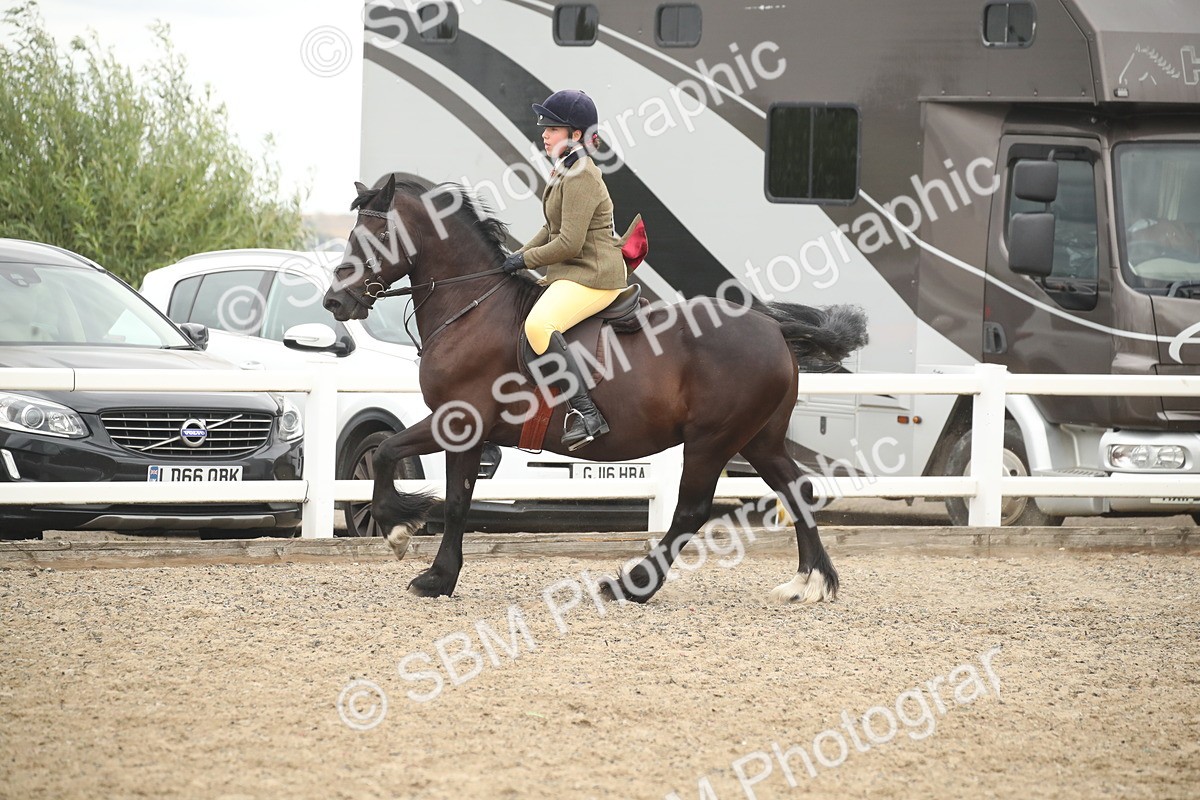 SBM_18357 - Class 509B - Working Veteran - 80cm (20+)