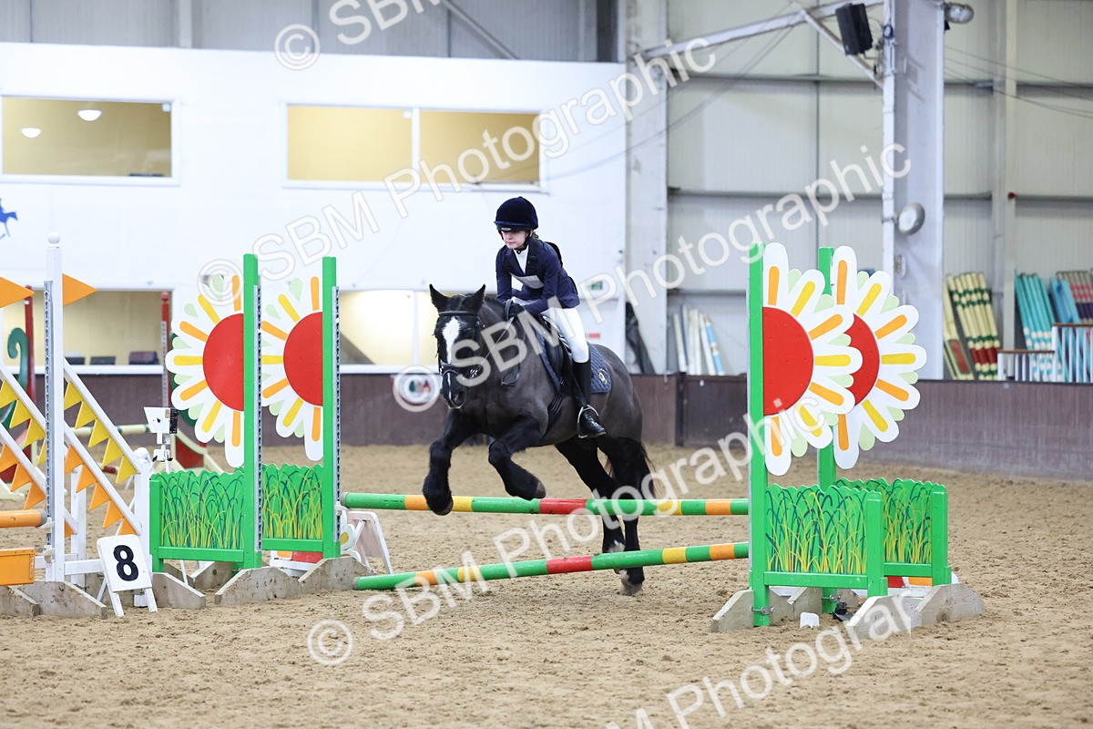 SBM_001153 - Class 3 - Christmas Tree Stakes - 60cm