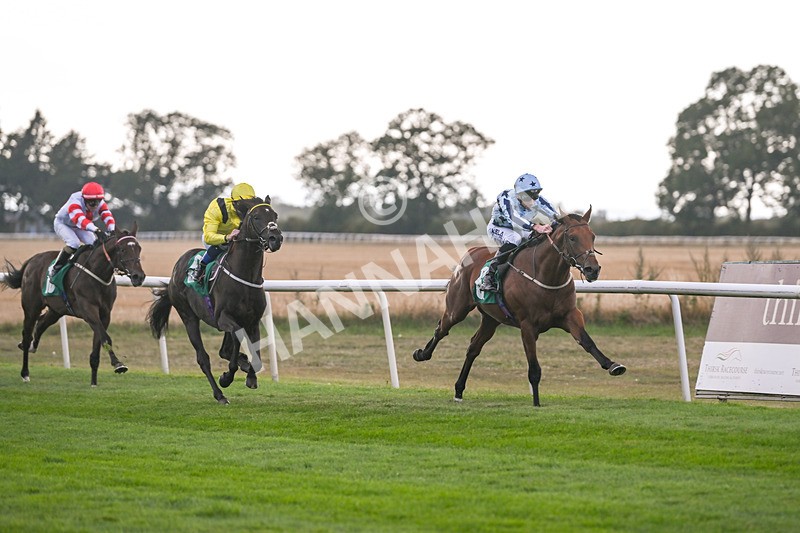 150825-Race 2-Hasbro Market-2520 - Race 2