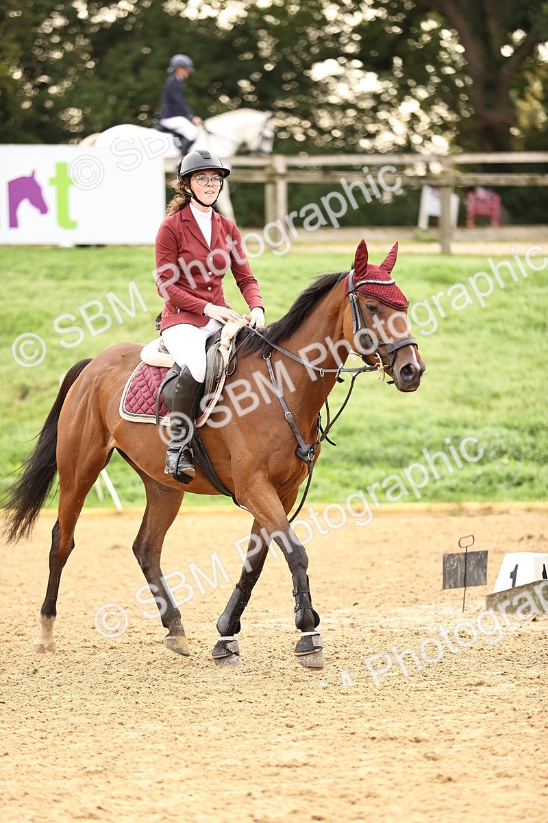 SBM_58352 - J41 - Grand Tour Horse & Pony 95cm