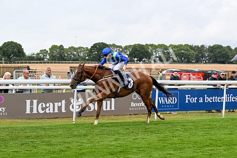 150725-Race 5-Sax Appeal-0786 - Race 5