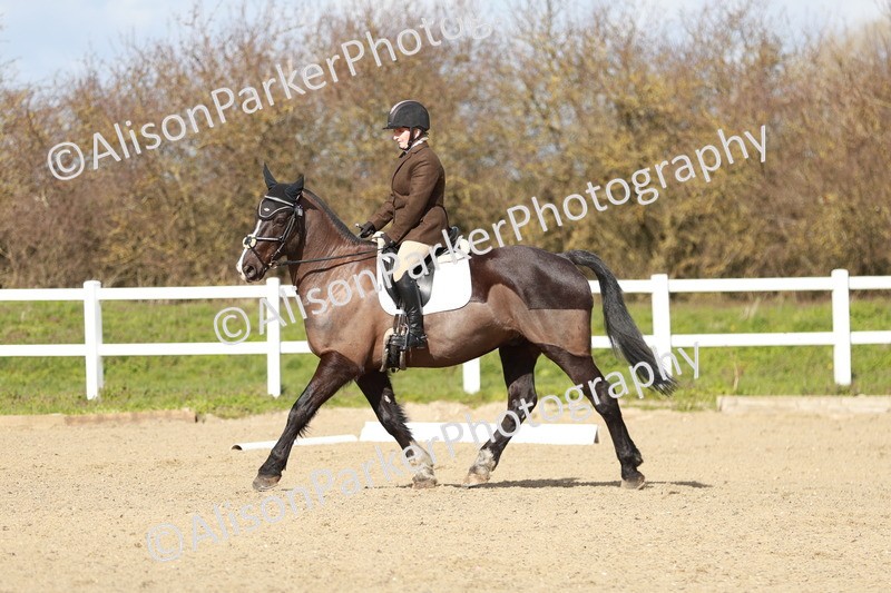 20260314-3027 - DR3 - Prelim 1