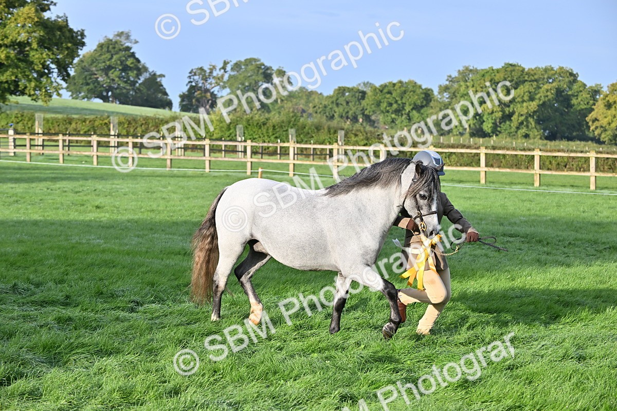 SBM_54653 - S44 - Youngstock In Hand
