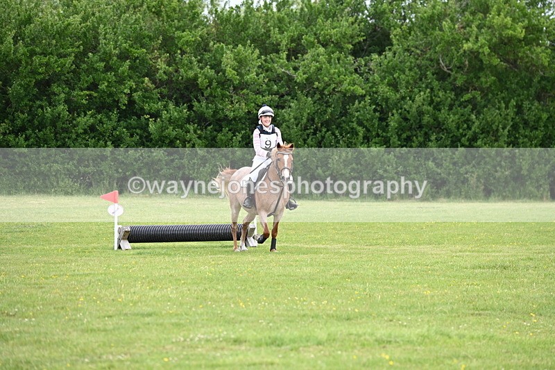 WJ6_2450 - Class 2 40cm