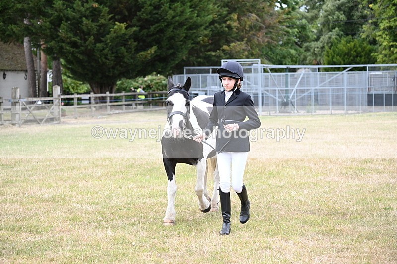 WJ6_4221 - Class 10 Coloured In-hand