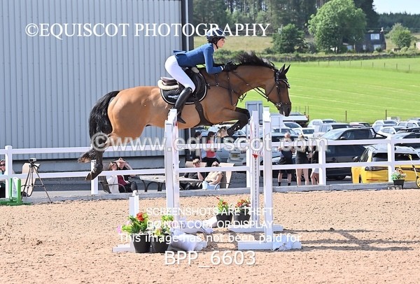 BPP_6603 - CLASS 13 FRI HOYS Talent Seeker Qualifier Inc 7 Year Old Horse Championship Qualifier