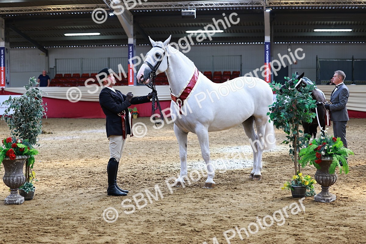 SBM_23289 - Class 903 - Supreme Final - IH Pre Vet