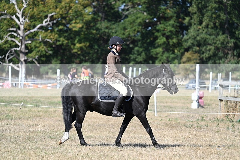 WJ7_3433 - Class 9 Mountain & Moorland Ridden