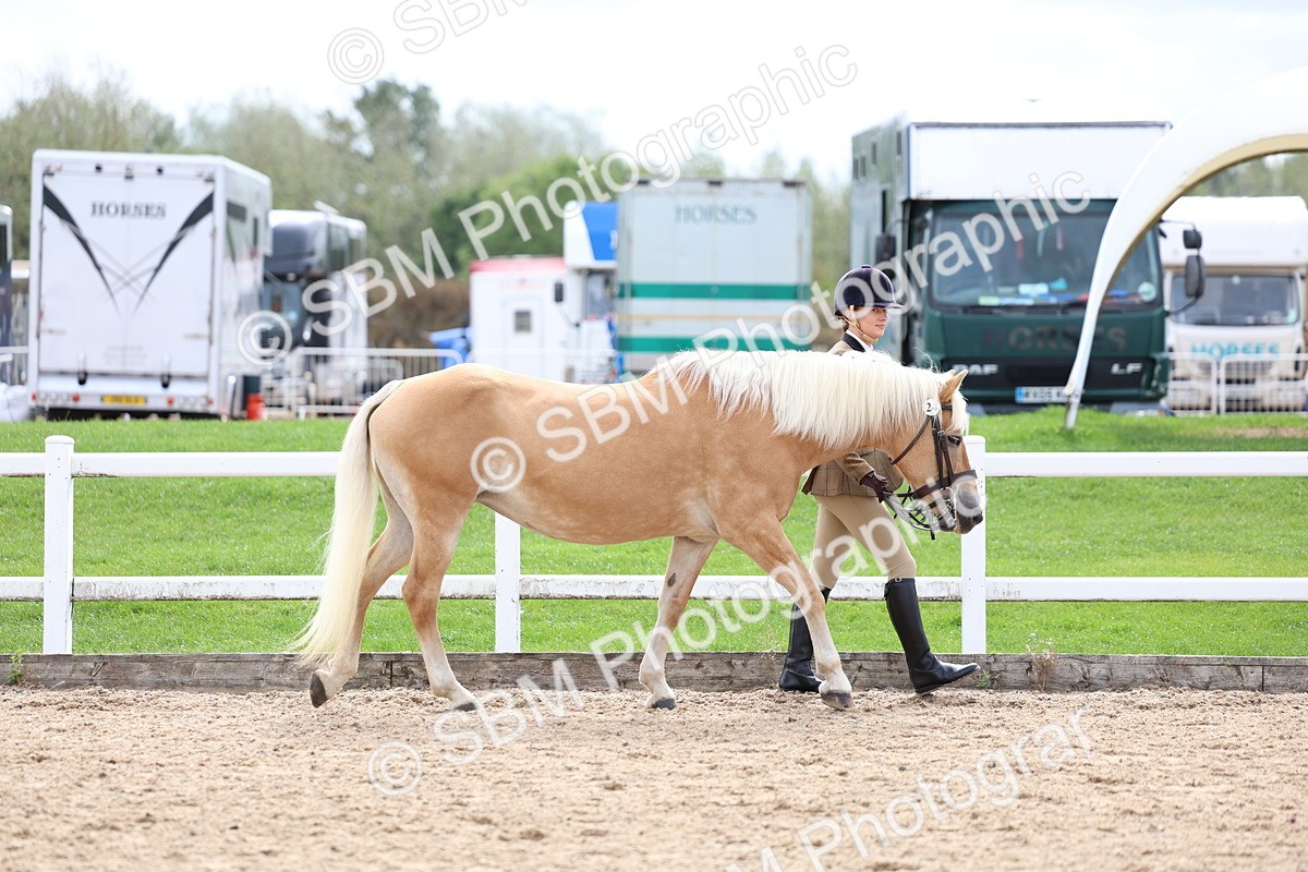 SBM_03892 - Class 25 - IH Foreign Breeds - Pure Bred