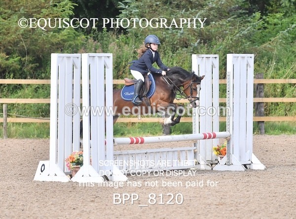 BPP_8120 - CLASS 11 SUN  Club/ Unaffiliated 60cms Open