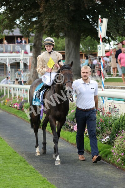yr04092022r7-35 - Race 7 5.15pm Firmament Stakes