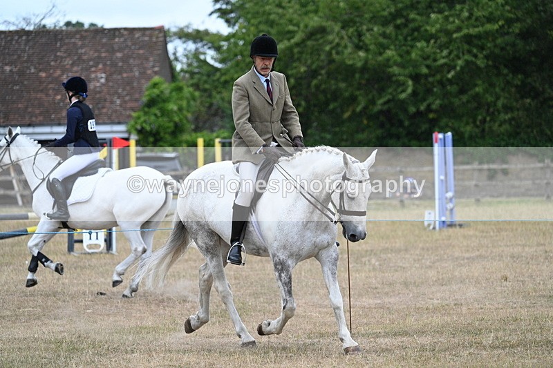 WJ7_0926 - Class 7 Riding Club Show Horse