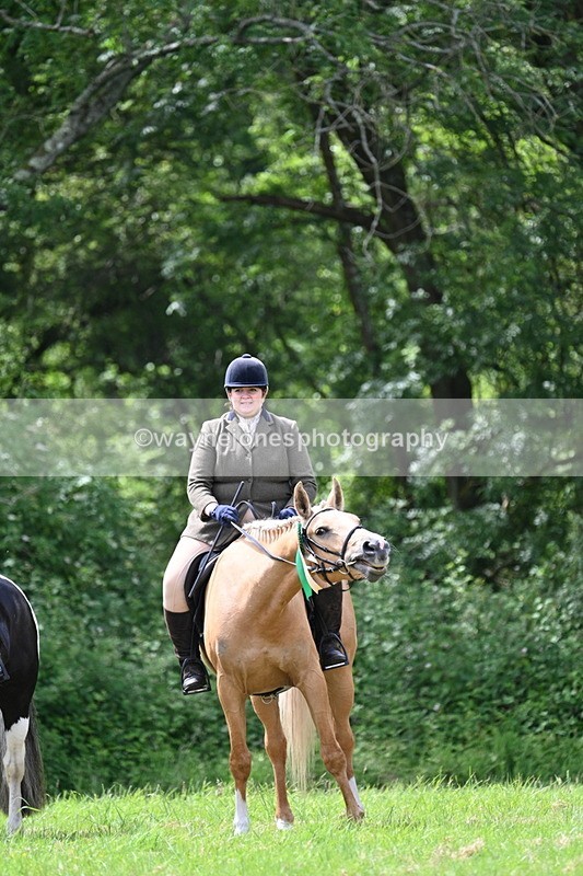WJ7_2710 - Class 12A Coloured Class