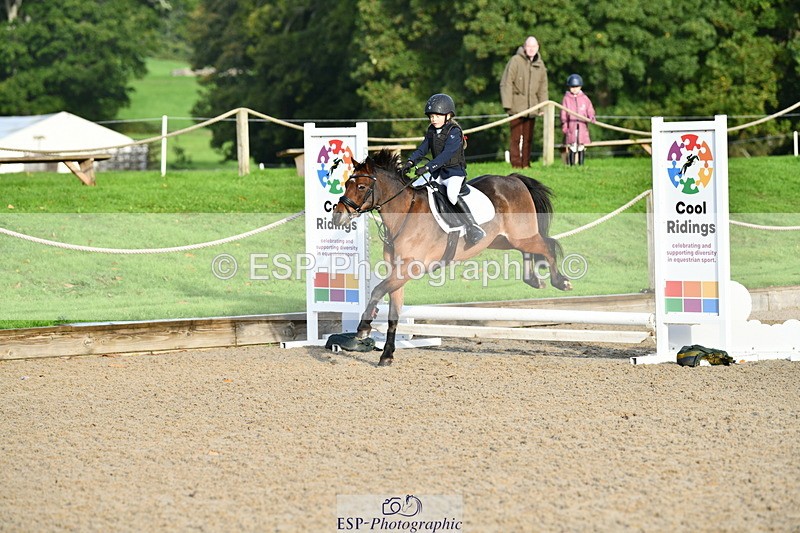 251004A-091709-00125 - Classes 1-2-3 40cm