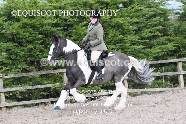 BPP_7353 - RING 1  (RIDDEN HORSES / IN HAND / VETERAN ETC)