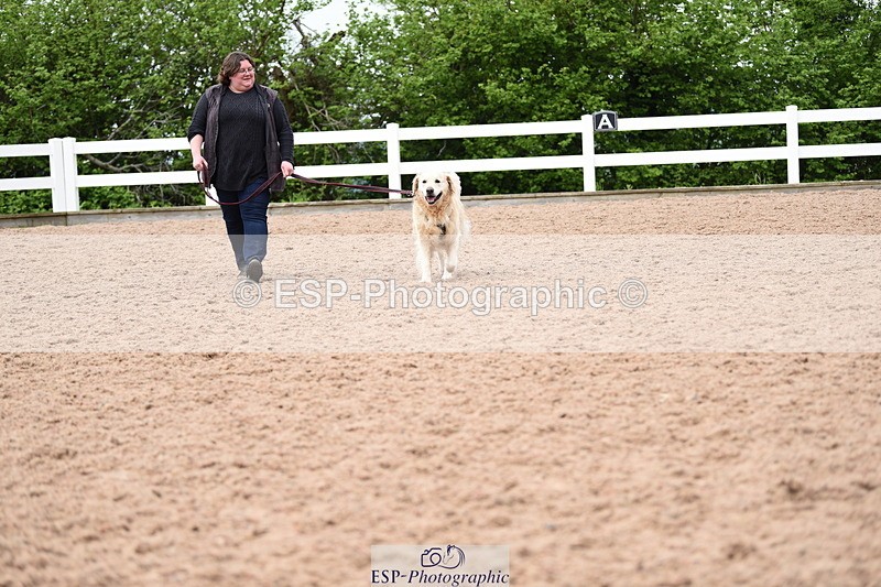 240518A-120648-01088 - Cls 3 Handsomest Dog