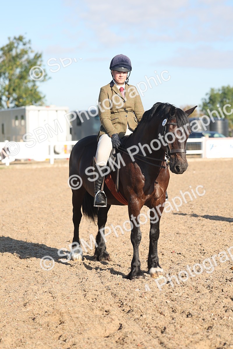 SBM_11057 - Class 302 - Ridden M&M Large Breeds