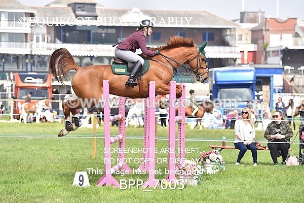 BPP_7003 - CLASS 3 RHS Fox Champ Qual (1.20m)