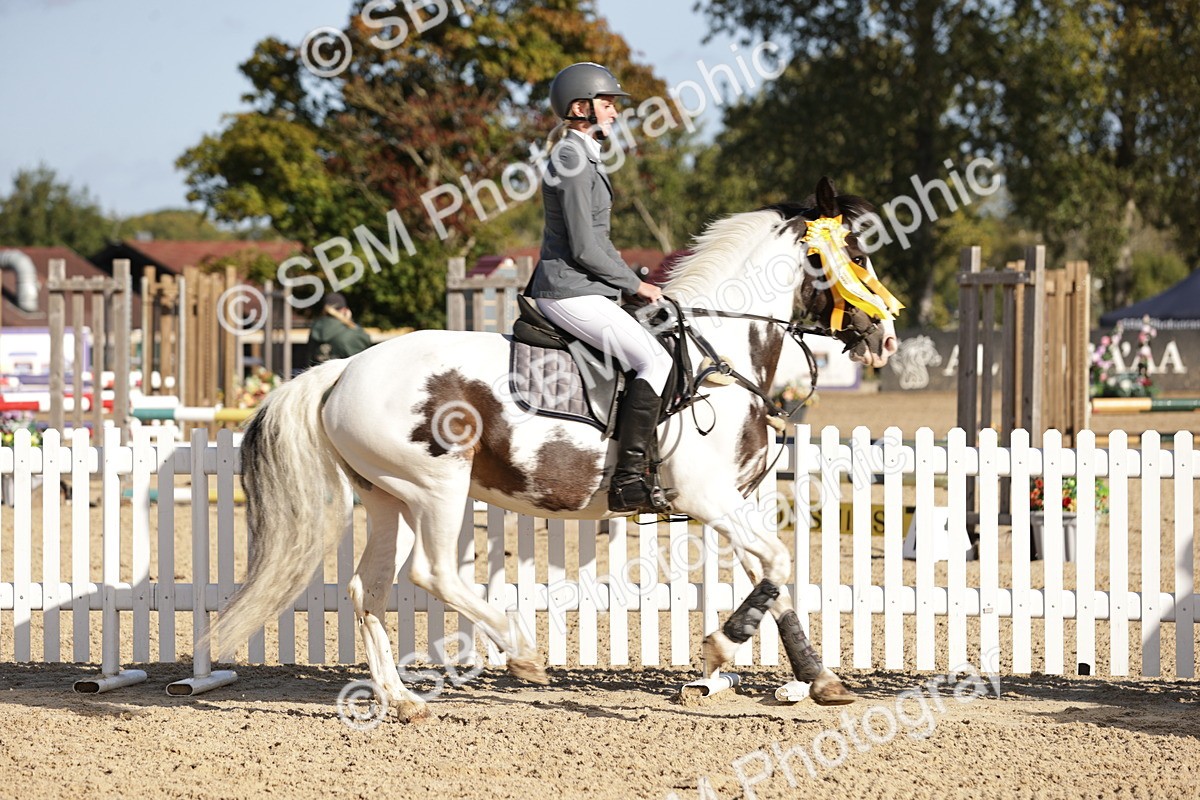 SBM_15051 - J32 - Senior 70cm Championship
