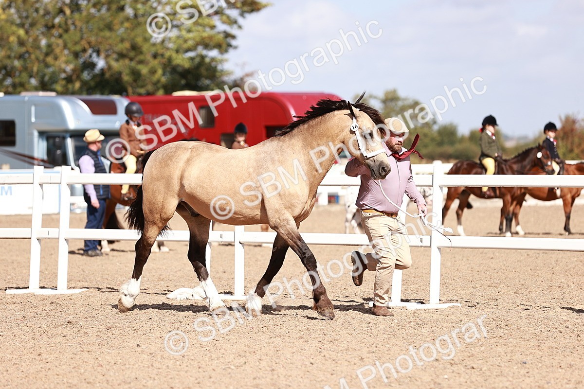 SBM_22974 - Class 707 - IH groom Helpers Class