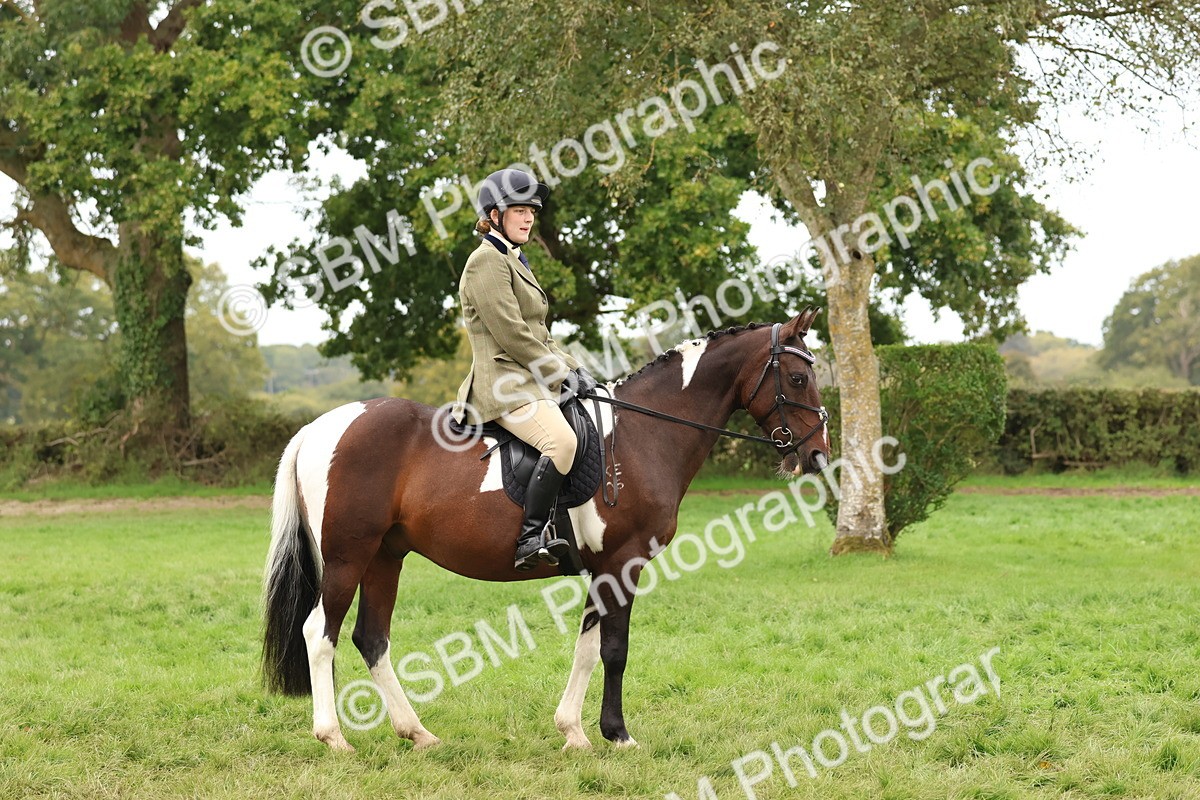 SBM_59850 - S36 - Rehabiliated Rescue Horse & Pony In Hand & Ridden