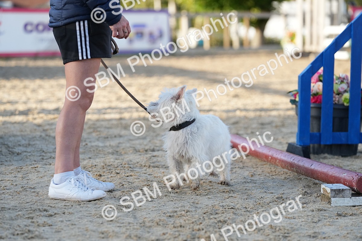 SBM_29419 - J44 - Horse & Hound Open 70cm