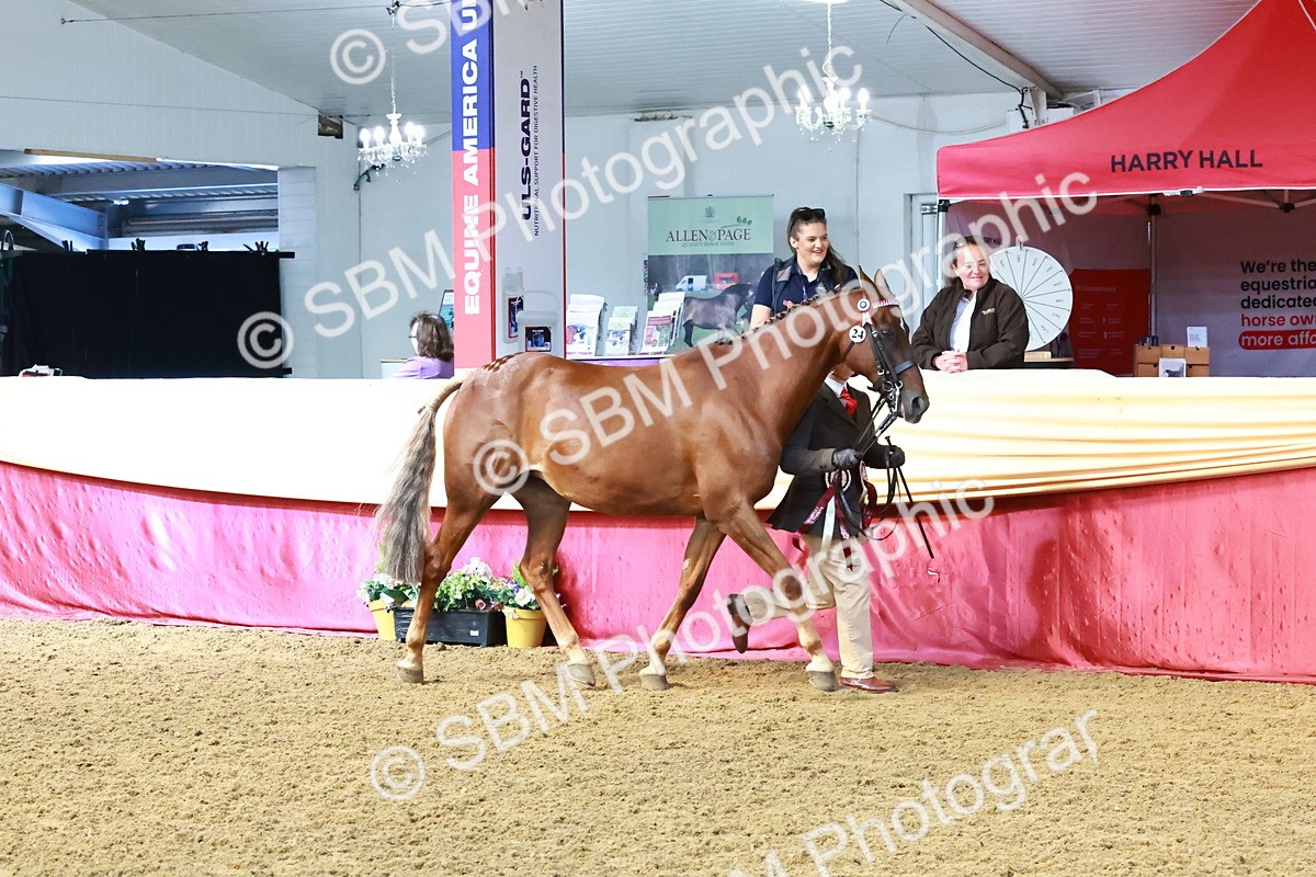 SBM_22456 - Class 902 - Supreme Final - IH Diamond