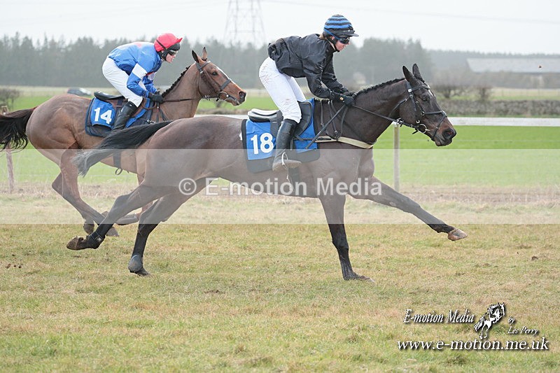 PtP 210124 479 - Cocklebarrow Races Point-to-Point 21/01/24