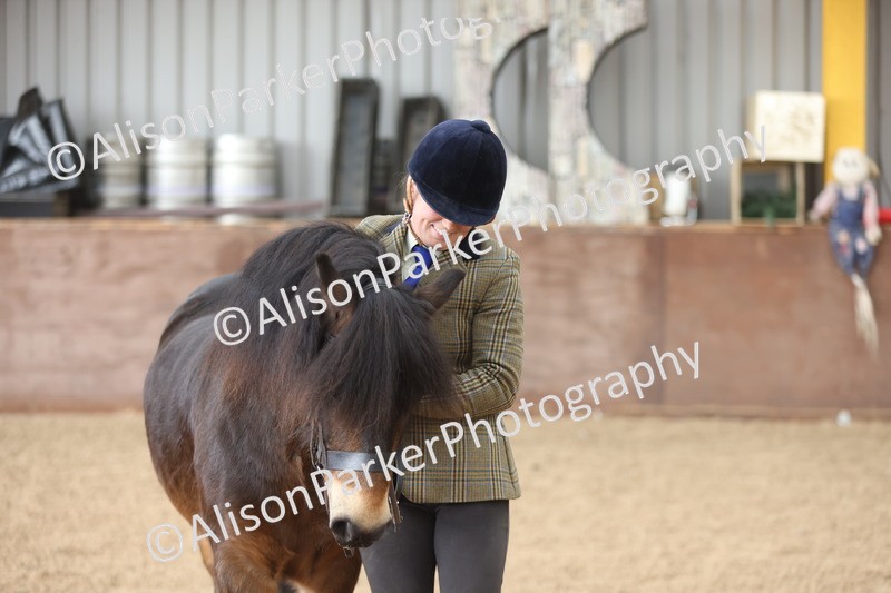 20251109-0666 - Class 22 - Geldings 4 Years and over