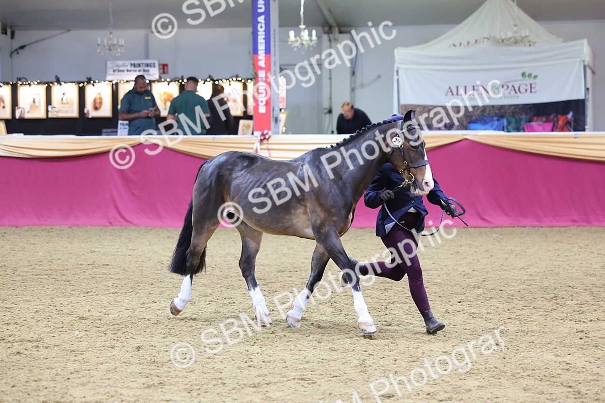 SBM_19541 - Class 901 - Supreme Final - IH Diamond