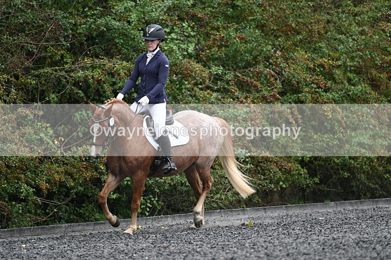 WJ7_3679 - Time 11:04 to 11:38