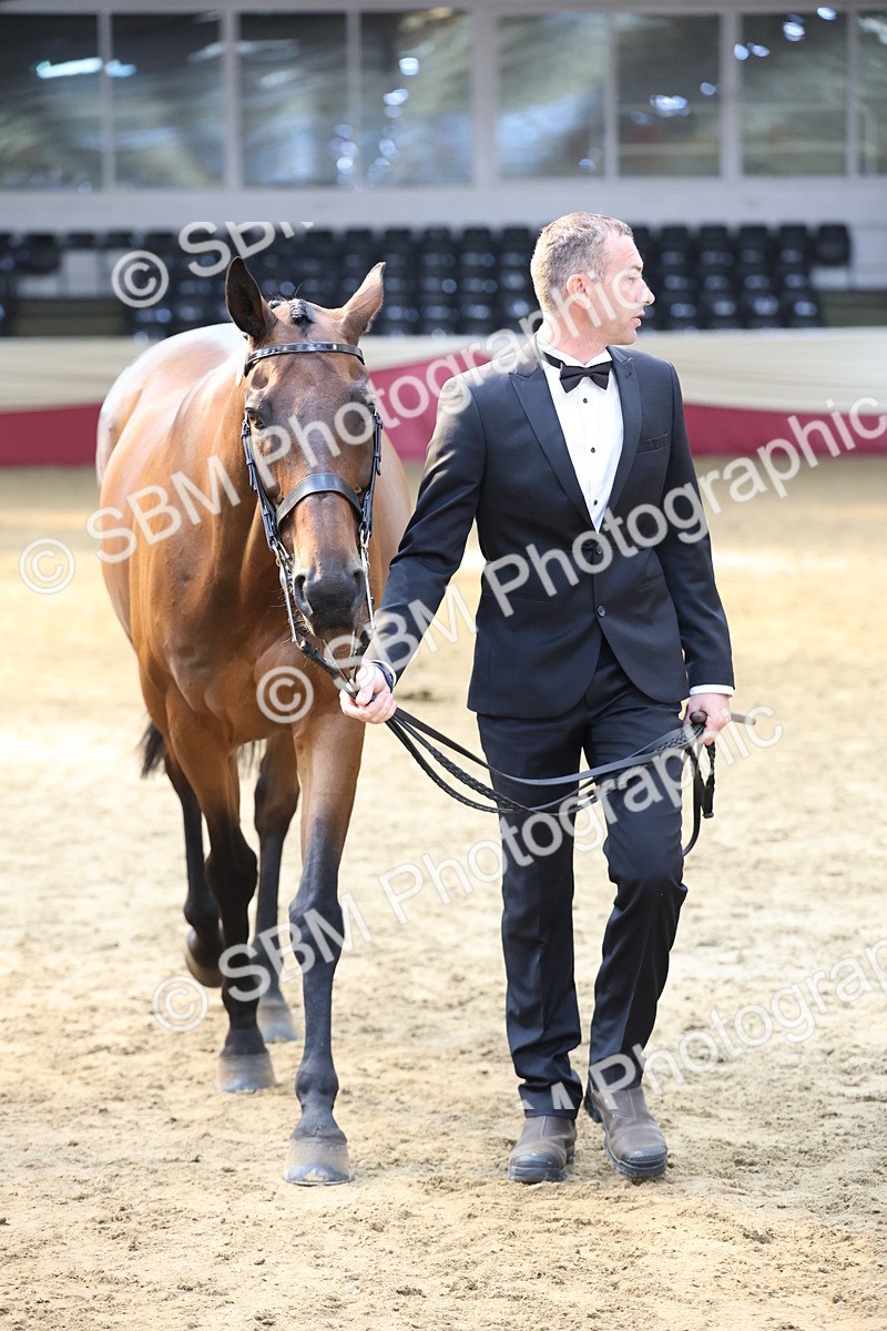 SBM_23385 - Class 903 - Supreme Final - IH Pre Vet