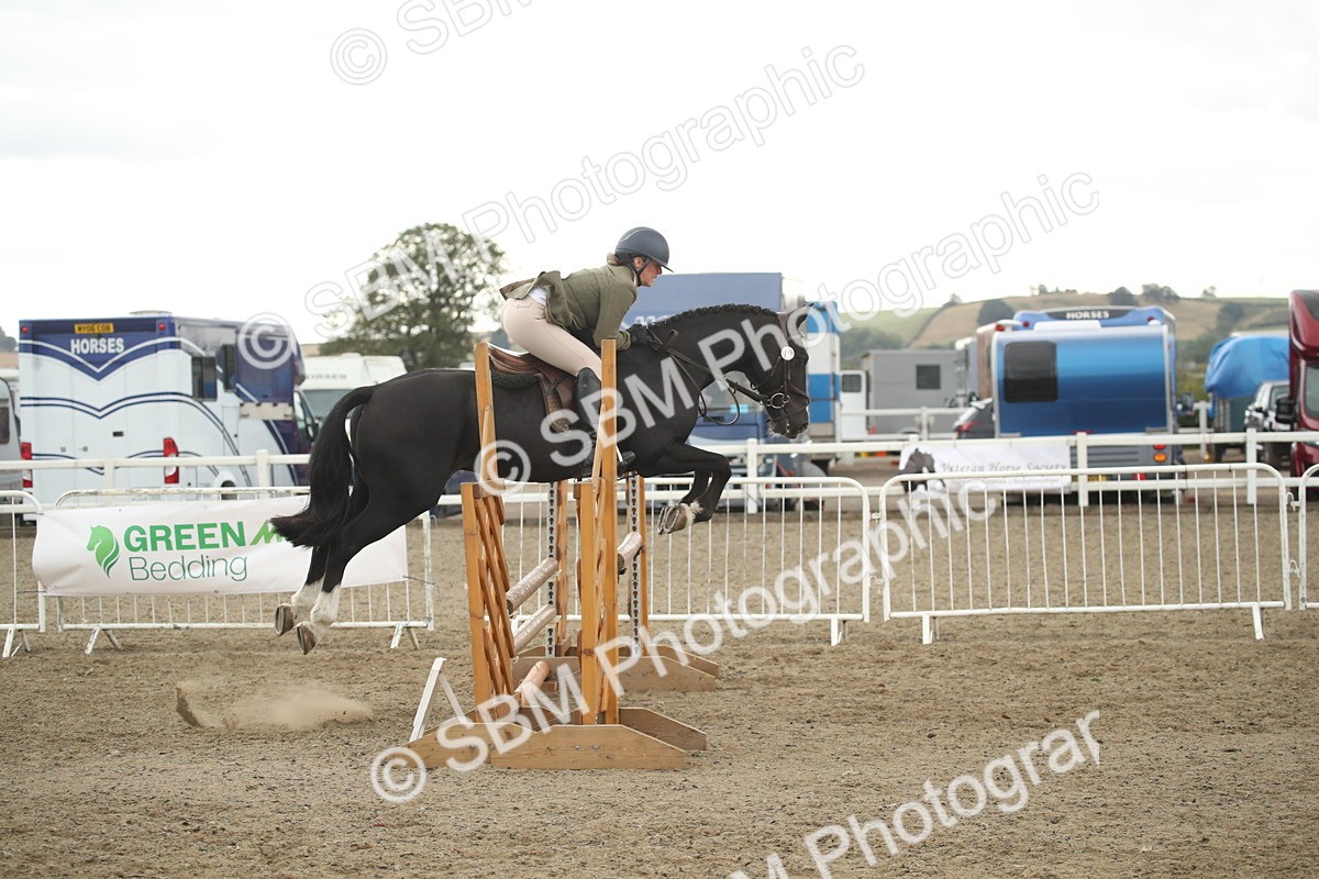 SBM_18454 - Class 510a - Working Veteran 90cm (15-19)